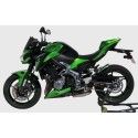 ERMAX Kawasaki Z900 2017 2019 garde boue AR lèche roue PEINT