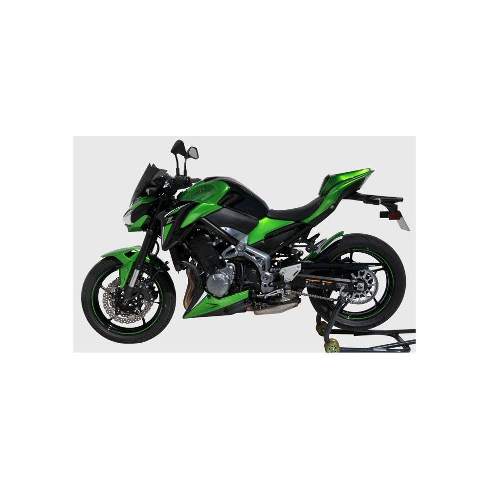 ERMAX Kawasaki Z900 2017 2019 garde boue AR lèche roue PEINT