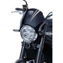 ERMAX Kawasaki Z900 RS 2018 2019 2020 2021 tête de fourche saute vent peint