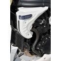 triumph 1050 SPEED TRIPLE 2005 to 2007 ERMAX radiator bodyworks painted