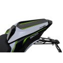 ERMAX Kawasaki Z900 2017 2019 capot de selle PEINT