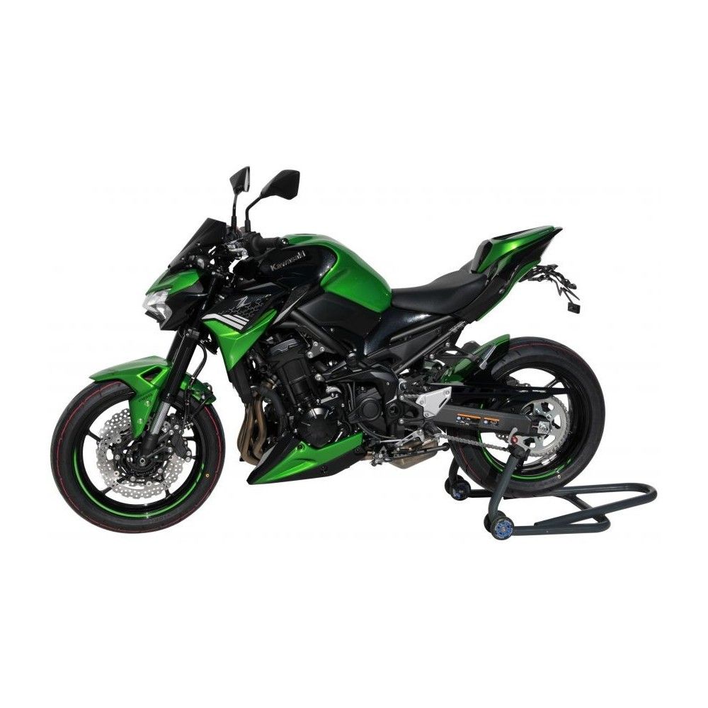 ERMAX Kawasaki Z900 2020 2021 garde boue AR lèche roue PEINT