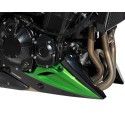 ERMAX Kawasaki Z900 2020 2021 belly pan PAINTED