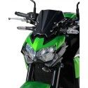 ermax Kawasaki Z900 2020 2021 nose fairing windscreen painted