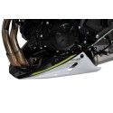 ERMAX Kawasaki Z650 2020 2021 belly pan PAINTED