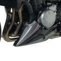 ERMAX Kawasaki Z900 2020 2021 belly pan PAINTED