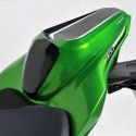 ERMAX Kawasaki Z900 2017 2019 seat cowl PAINTED