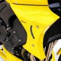 yamaha FZ1 N 2006 to 2015 ERMAX radiator bodyworks PAINTED