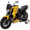 écopes de radiateur peint ermax yamaha FZ6 N S2 2004-2010