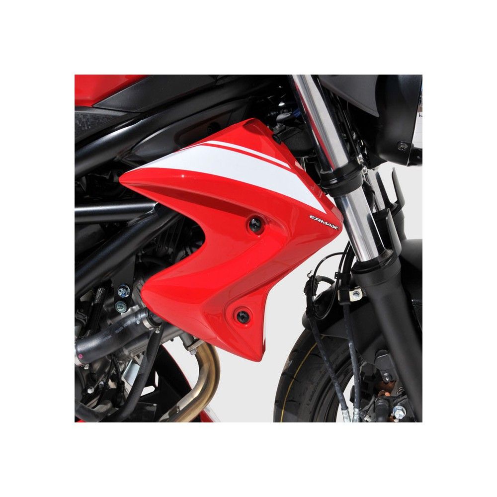 écopes de radiateur brut ermax suzuki SV 650 N 2016 2021 