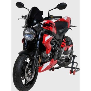 écopes de radiateur brut ermax suzuki SV 650 N 2016 2021 