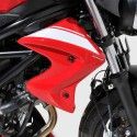 écopes de radiateur peint ermax suzuki SV 650 N 2016 2021 