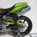 garde boue ermax arriere peint TRIUMPH 675 STREET TRIPLE 2008-2011