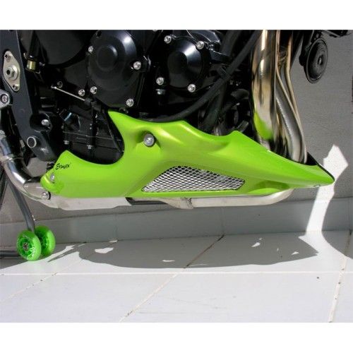 ERMAX raw engine bugspoiler triumph STREET TRIPLE 675 2008-2009-2011