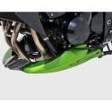 ermax painted EVO engine bugspoiler kawasaki z750 r 2011 2012