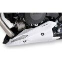 ERMAX raw engine bugspoiler yamaha XJ6 N 2013 2016