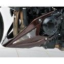 ermax raw engine bugspoiler kawasaki Z1000 2010 2011 2012 2013