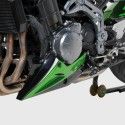 ERMAX Kawasaki Z900 2017 2019 sabot moteur BRUT A PEINDRE