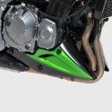 ERMAX Kawasaki Z900 2017 2019 sabot moteur PEINT