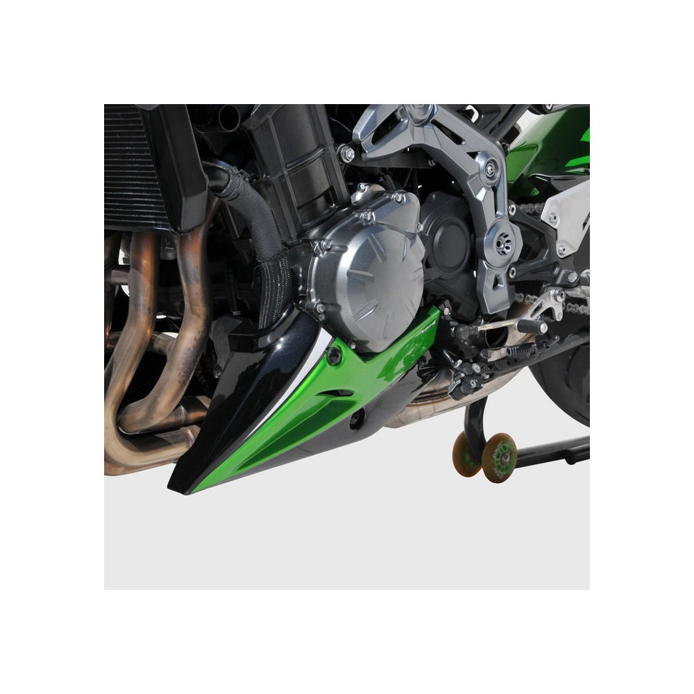 ERMAX Kawasaki Z900 2017 2019 sabot moteur PEINT