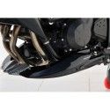 sabot moteur EVO ermax peint kawasaki z750 r 2011 2012